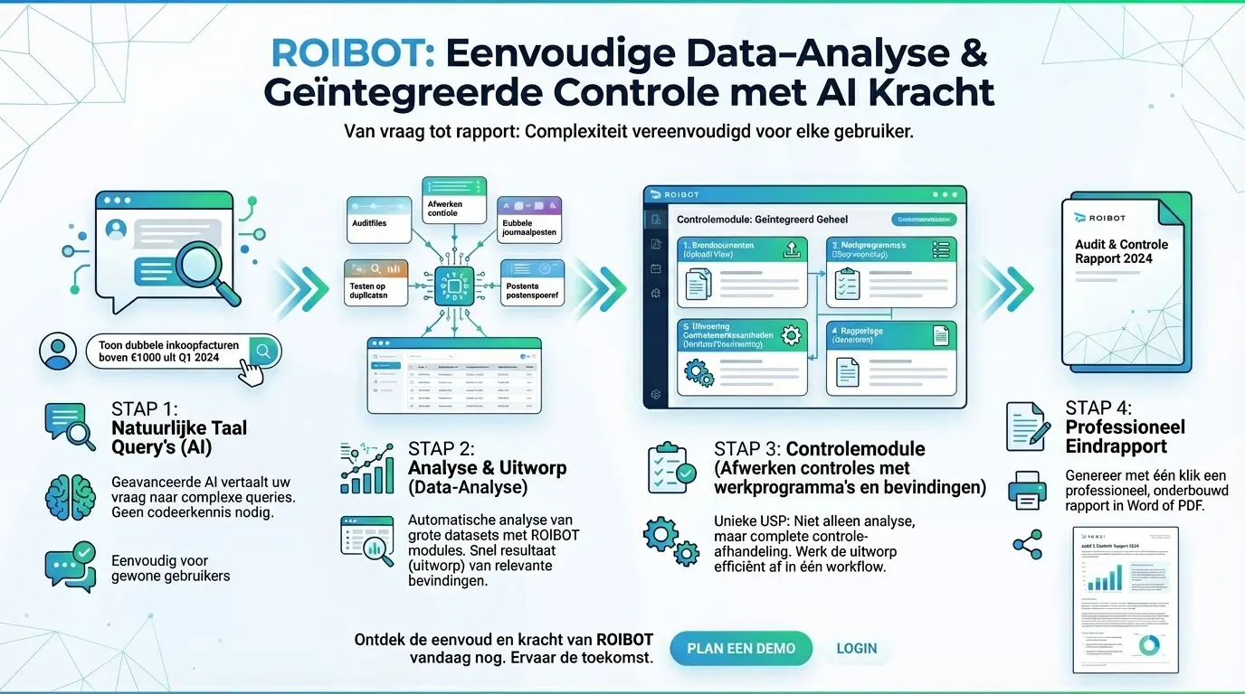 ROIBOT Infographic - Eenvoudige Data-Analyse & Geïntegreerde Controle met AI Kracht